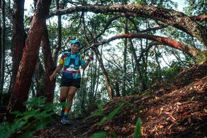 BIB: 
                            <button type="button" onclick="openModal(26344260)" class="btn btn-primary btn-sm float-right btn-popup" data-toggle="modal" data-target=".modal-high-quality">
                        <i class="fas fa-shopping-cart"></i> Add to Cart
                    </button>
                                            <button type="button" onclick="isThisMe(26344260, true)" class="btn btn-success btn-sm float-right btn-popup btn-isme hidden" data-toggle="tooltip" data-placement="bottom" title="นี่คือรูปของคุณใช่ไหม คลิกที่นี่เพื่อเอาเข้าอัลบั้ม">
                        <i class="fas fa-plus"></i> Add to album
                    </button>
                    <button type="button" onclick="isThisMe(26344260, false)" class="btn btn-warning btn-sm float-right btn-popup btn-isnotme hidden">
                        <i class="fas fa-ban"></i> Remove from album
                    </button>